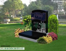 SY200505-鹤影长江 思念无绝