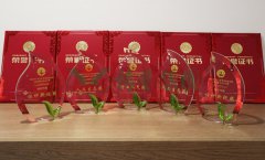 “js3333线路检测中心杯”浙江省节地生态安葬设计作品奖