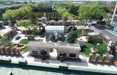 方寸之间，艺术与自然共舞